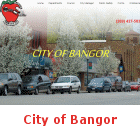 Our web site for City of Bangor Michigan